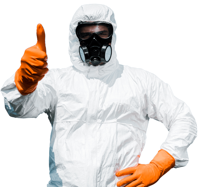 Técnico en control de plagas con traje blanco y mascarilla dando pulgar arriba durante servicio de fumigación profesional en Ciudad de México.